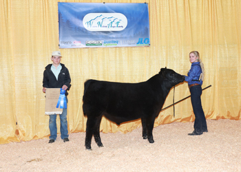 Bred-and-Owned Fall Bull Calf Champion