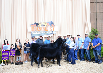 Grand Champion Owned Cow-calf Pair