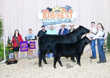 Grand Champion Bred-and-owned Cow-calf Pair
