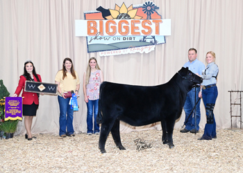 Owned Heifer Calf Champion Division 1