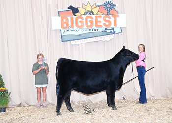 Owned Heifer Class 25