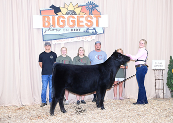 Owned Heifer Class 9
