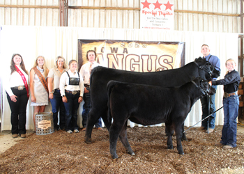 Grand Champion Bred-and-owned Cow-calf Pair