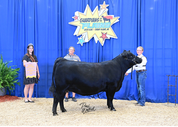Reserve PGS Bred-and-Owned Female Div 4