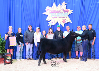 Bred-and-owned Reserve Late Senior Heifer Calf Champion