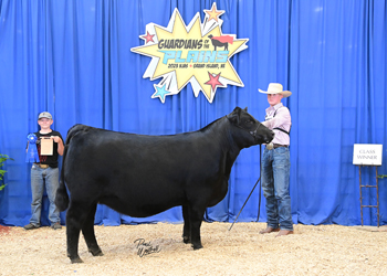 Owned Heifer Class 52
