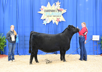 Owned Heifer Class 39