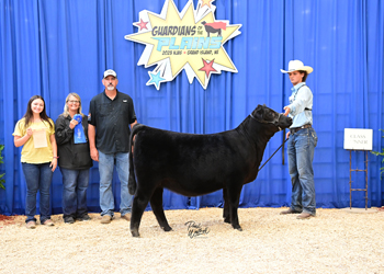 Owned Heifer Class 6