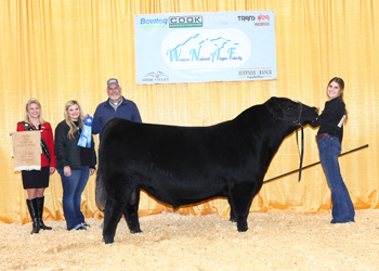 Bred-and-owned Junior Champion Bull