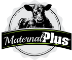 MaternalPlus logo