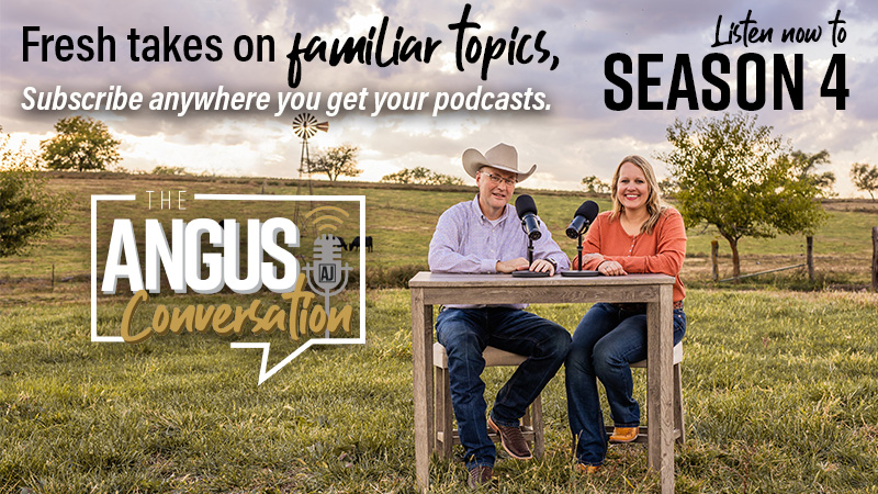 New Perspectives on Season 4 of The Angus Conversation