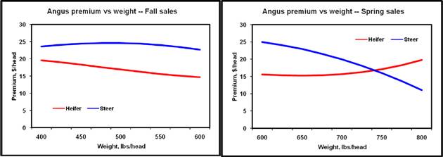 Figure 1: Price difference between Angus and Other, Fall 1999-2008
Ten years of data representing more than 270,000 feeder calves reveal fall-marketed, 500-lb. commercial Angus steers have received an average $24.33/head ($4.87/cwt.) premium, while Angus heifers have garnered an extra $16.66/head ($3.33/cwt.). Futures prices peaked in fall 2005, but the most recent fall steer premium of $6.79 represents the record Angus advantage at auction.