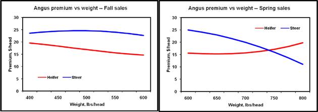 Figure 1: Price difference between Angus and Other, Fall 1999-2008
Ten years of data representing more than 270,000 feeder calves reveal fall-marketed, 500-lb. commercial Angus steers have received an average $24.33/head ($4.87/cwt.) premium, while Angus heifers have garnered an extra $16.66/head ($3.33/cwt.). Futures prices peaked in fall 2005, but the most recent fall steer premium of $6.79 represents the record Angus advantage at auction. 

