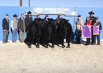 Grand Champion Pen of Three