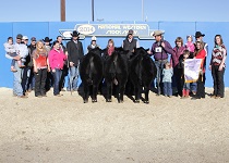 Reserve Grand Champion Pen of Three