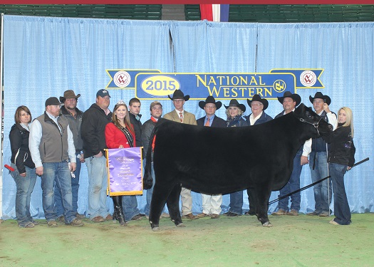 Grand Champion Female