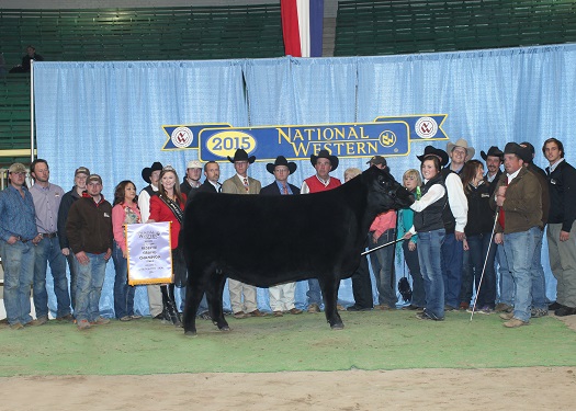 Reserve Grand Champion Female