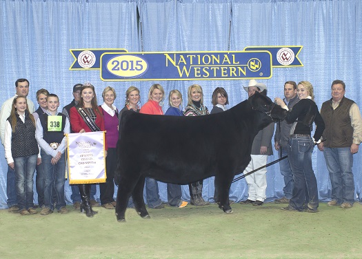 Reserve Grand Champion