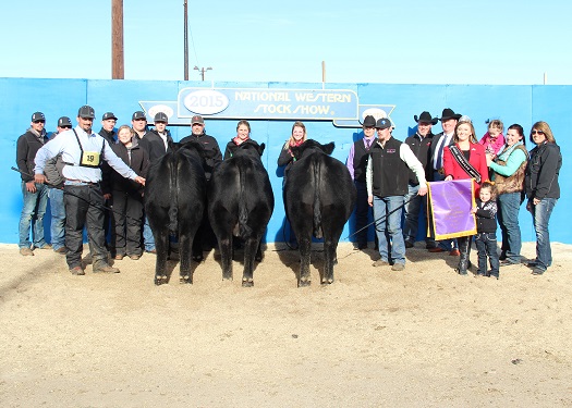 Grand Champion Pen of Three