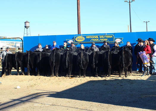 Reserve Grand Champion Carload