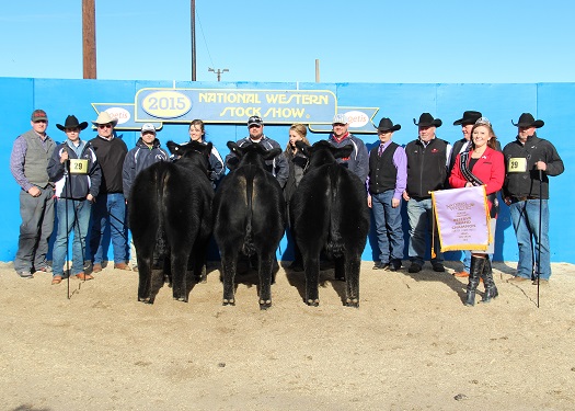 Reserve Grand Champion Pen of Three