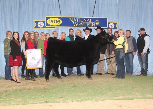 Reserve Champion Female