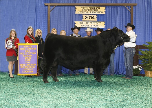 Reserve Grand Champion
