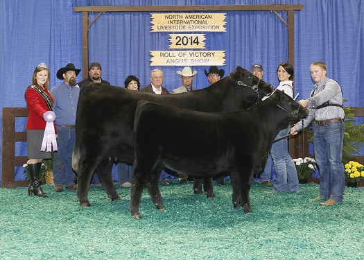Reserve Grand Champion