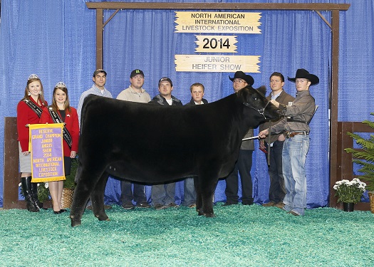 Reserve Grand Champion