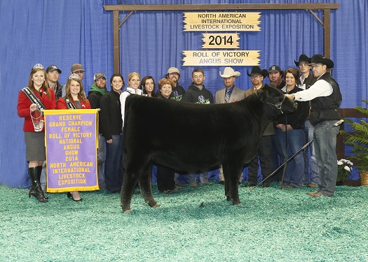 Reserve Grand Champion