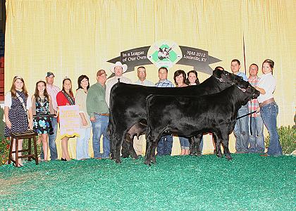 Reserve Grand Champion