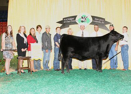 Reserve Grand Champion
