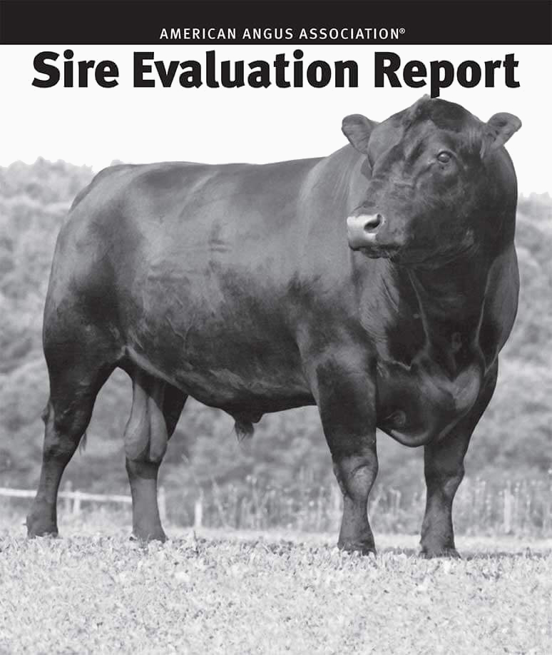Sire Evaluation Report