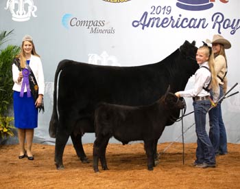 Senior Champion Female