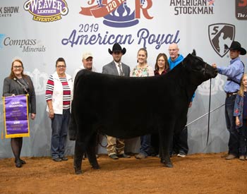 Grand Champion Female