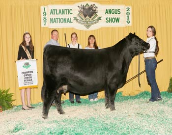 Owned Junior Champion Heifer