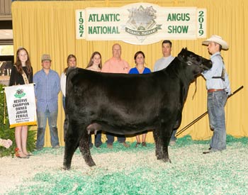 Owned Reserve Junior Champion Heifer
