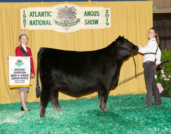 Bred-and-owned Reserve Senior Champion Female