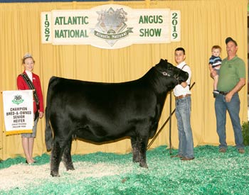 Bred-and-owned Senior Champion Female