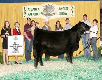 Reserve Grand Champion Owned Female