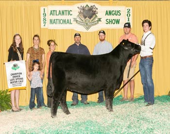 Owned Late Spring Heifer Calf Champion