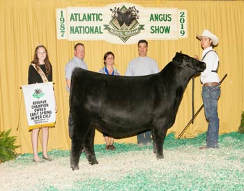 Owned Reserve Early Spring Heifer Calf Champion