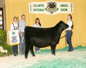 Owned Summer Heifer Calf Champion