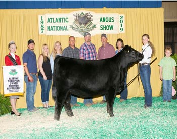 Owned Reserve Summer Heifer Calf Champion