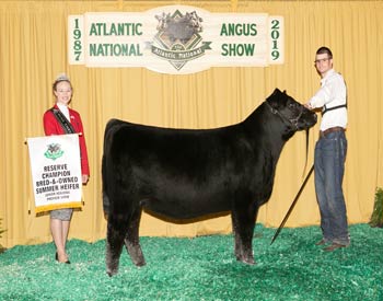 Bred-and-owned Reserve Summer Heifer Calf Champion