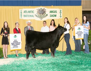 Reserve Grand Champion Bred-and-owned Female