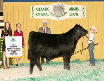 Reserve Grand Champion Bred-and-owned Steer