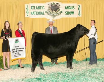 Grand Champion Bred-and-owned Steer