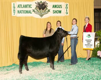 Owned Fall Heifer Calf Champion