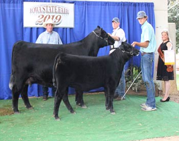 Reserve Grand Champion Cow-calf Pair